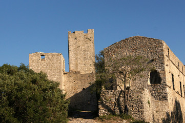 Fototapeta na wymiar Ruines de château