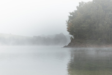 Brume matinale sur l'étang