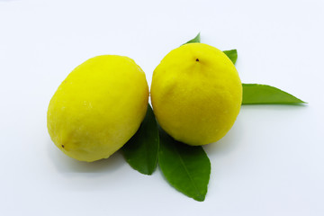 2 whole lemons with fresh green leaves on white background.