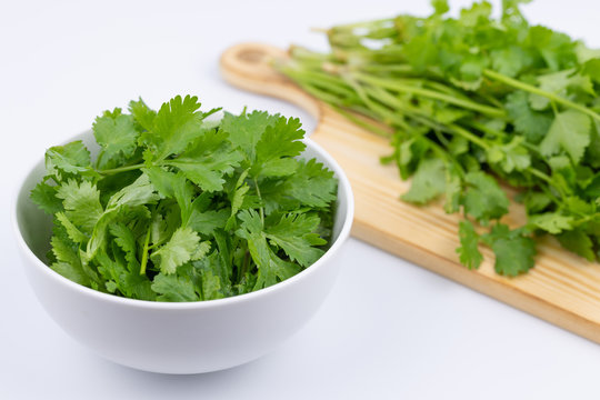 パクチー の画像 191 390 件の Stock 写真 ベクターおよびビデオ Adobe Stock