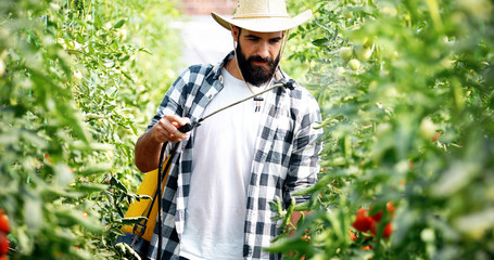 Young farmer protecting his plants with chemicals