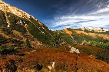 Autumn in Tatry