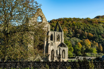 Ruins of abbey in the middle of autumn with colorful trees in the background