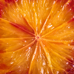 Fresh ripe blood orange