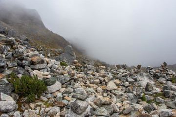 The Salkantay trek (Andes, Peru). The hillside, covered with thick fog