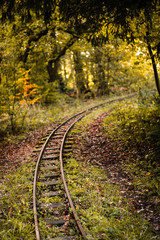 Fototapeta na wymiar An old overgrown railroad track in a forest