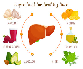 Products for a healthy liver. The best food for cleansing and proper liver function. Vector infographics on the theme of proper nutrition and healthy lifestyle. Cartoon style banner.