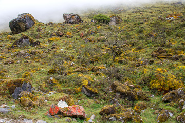 The Salkantay trek (Andes, Peru). The hillside, covered with thick fog