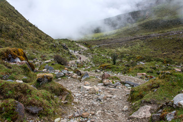 The Salkantay trek (Andes, Peru). The hillside, covered with thick fog