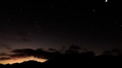 Naklejka premium サソリとカラス