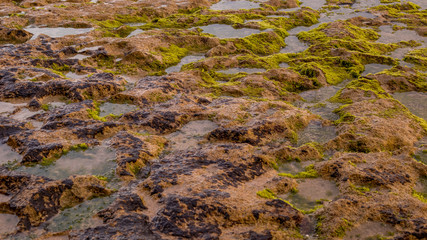 Low tide at the beach. Scenic waterscape. Seascape during sunset. Background for design. Copy space.