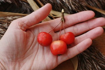 Grey wooden background and red apples close up