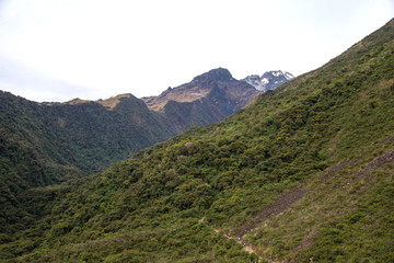 Fototapeta na wymiar Сloud forest and tropical jungle around Chaullay in Peru (Salkantay trek)