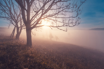 Beautiful morning at autumn mountain valley. Foggy mountains with sunlight though the tree branches on the hill.