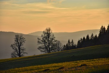 Bohemian forest - spring sunset