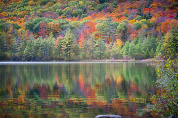 autumn trees reflecting on lake with beautiful fall foliage colors