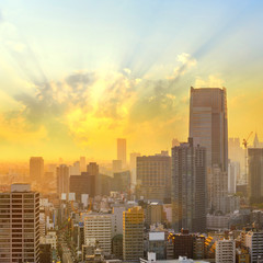 Cityscapes of Tokyo sunset, city aerial skyscraper view of office building and downtown and street of minato in tokyo with yellow sunlight background. Japan, Asia