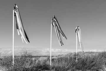 Drapeaux dans le vent noir et blanc