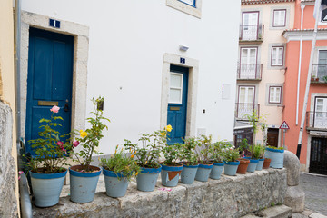 Fototapeta na wymiar Casa con plantas