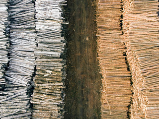 Sawmill top view, warehouse of tree. Stacks logs in an open air.  Aerial drone view. Top view.