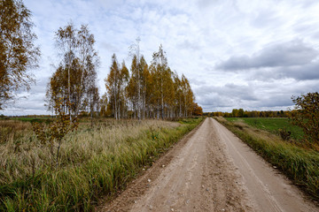 countryside road in autumn