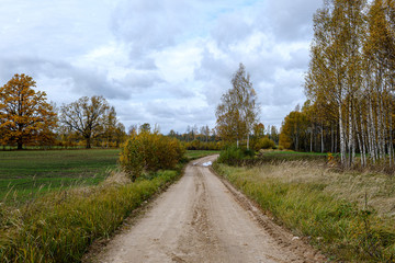 countryside road in autumn