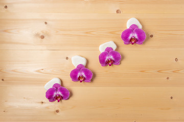 Wooden background with orchids and white stones for design. Copy space
