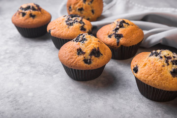 Bilberry cup cakes or muffins with fresh berries. top view