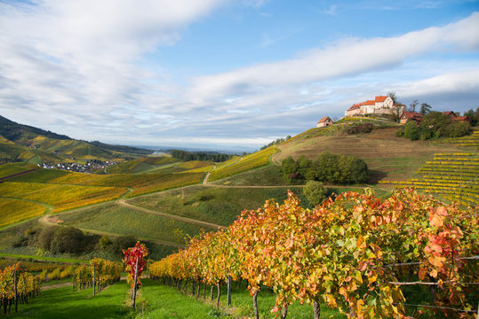 Schloss Stauffenberg in Durbach im Ortenaukreis
