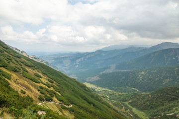 Fototapeta na wymiar Forests and mountain vegetation in the Polish Tatras