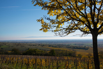 Orschwihr im südlichen Elsass in Frankreich