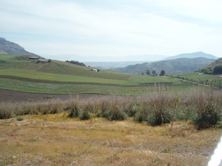 Collines de Sicille