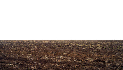 farm field in foggy haze