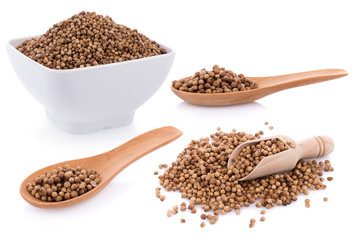 coriander seeds on white background