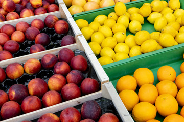  Nectarine, oranges, lemons and grapefruit in containers for sale on the market.
