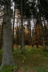 Obraz premium Herbst auf dem Heuberg Baden-Württemberg Deutschland 