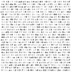 Obraz na płótnie Canvas Random Hex and binary code, Isolated on white for you web, internet data background. Black and White vector illustration with text