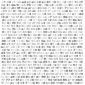 Random Hex and binary code, Isolated on white for you web, internet data background. Black and White vector illustration with text © Oleksandr