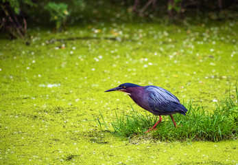 Fishing in the Valley