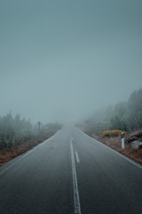 Road in the clouds in high altitude in the mountains with foggy and mist weather conditions. Road trip on a travel vacation day. Serra de Monchique, Algarve in Portugal