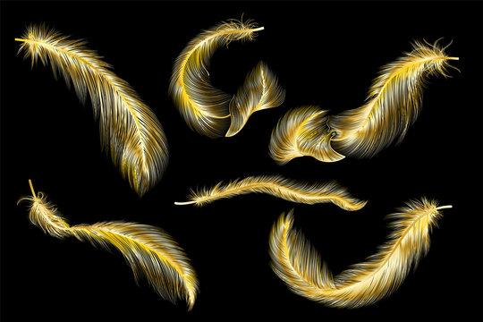 Set Of Gold  Feather. Vector Illustration.