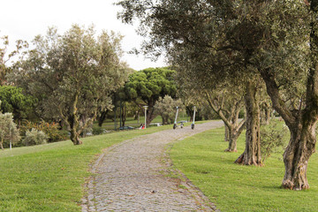 Lisbon Afternoon