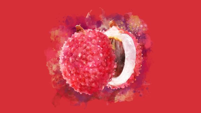 The appearance of the lichi on a watercolor stain.