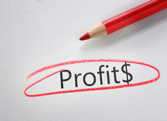 Profit text circled in red pencil