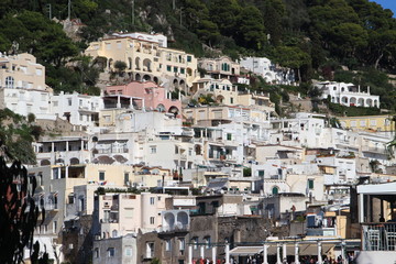 Fototapeta premium Capri / Italie (plan sérré)
