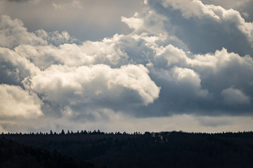 Obraz premium Clouds over the forest