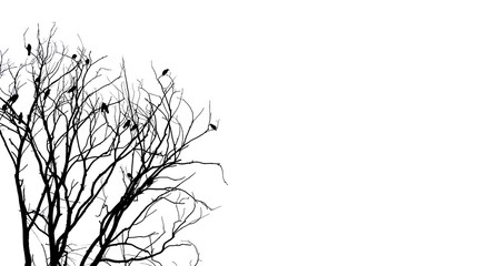 Halloween background with black tree with crows isolated on white