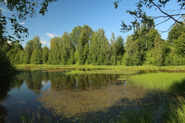 Fototapeta na wymiar Shallow lakes at the island Rovon in Skelleftea