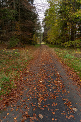 Wandern auf dem Heuberg B&ouml;ttingen / K&ouml;nigsheim  Deutschland