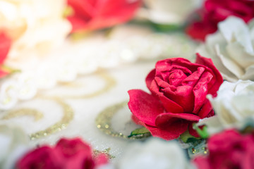 Red rose on the floor, white carpet, gold edge blur